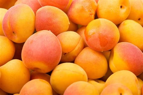 Apricots 